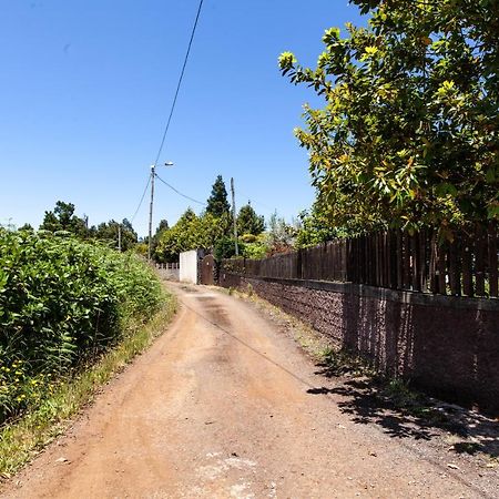 Chalet Pico Das Pedras 桑塔纳 外观 照片
