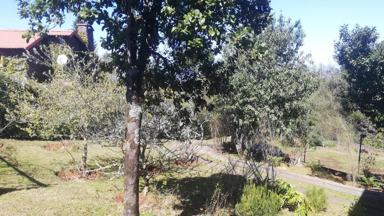 Chalet Pico Das Pedras 桑塔纳 外观 照片