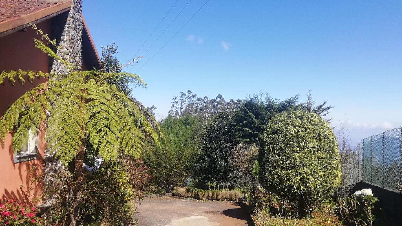 Chalet Pico Das Pedras 桑塔纳 外观 照片