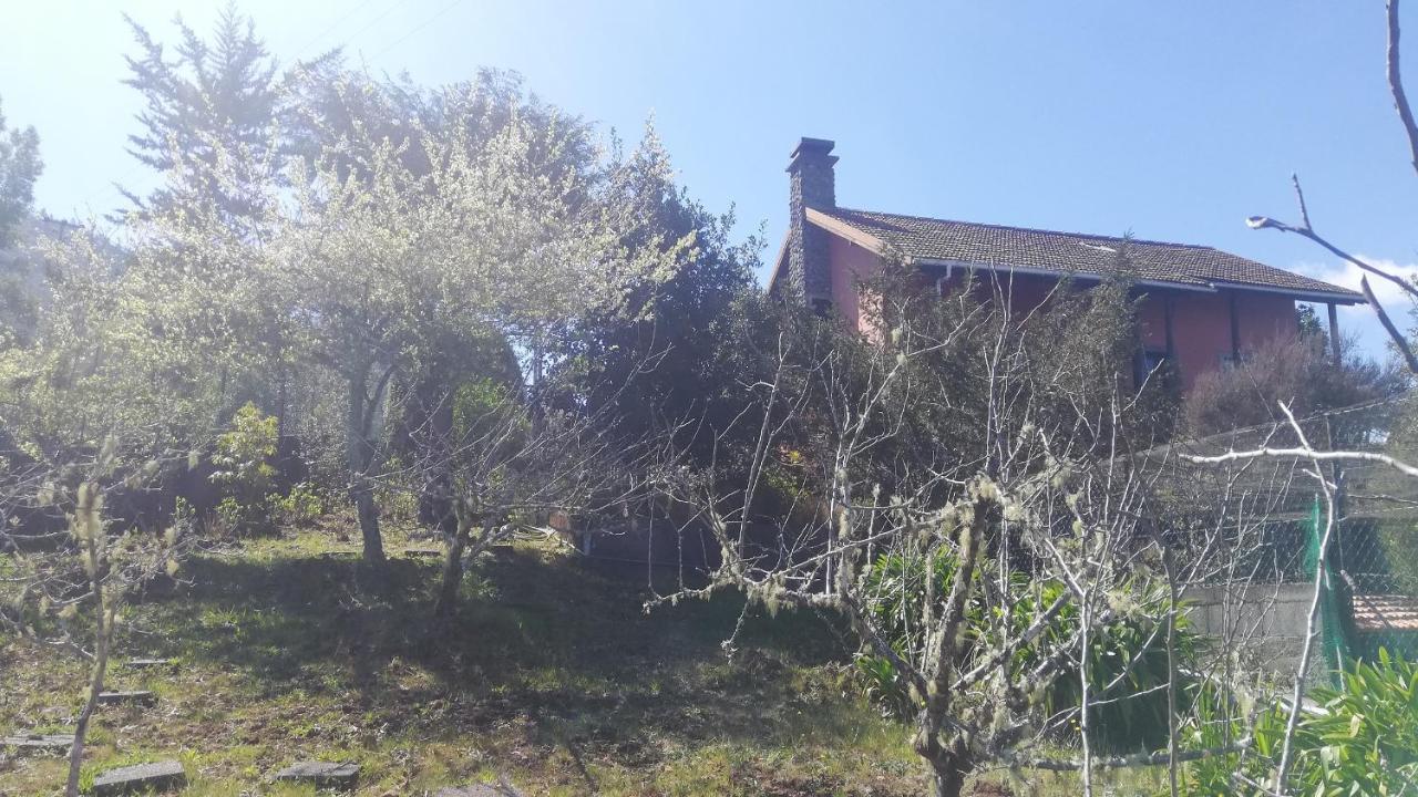Chalet Pico Das Pedras 桑塔纳 外观 照片