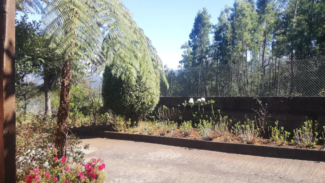 Chalet Pico Das Pedras 桑塔纳 外观 照片