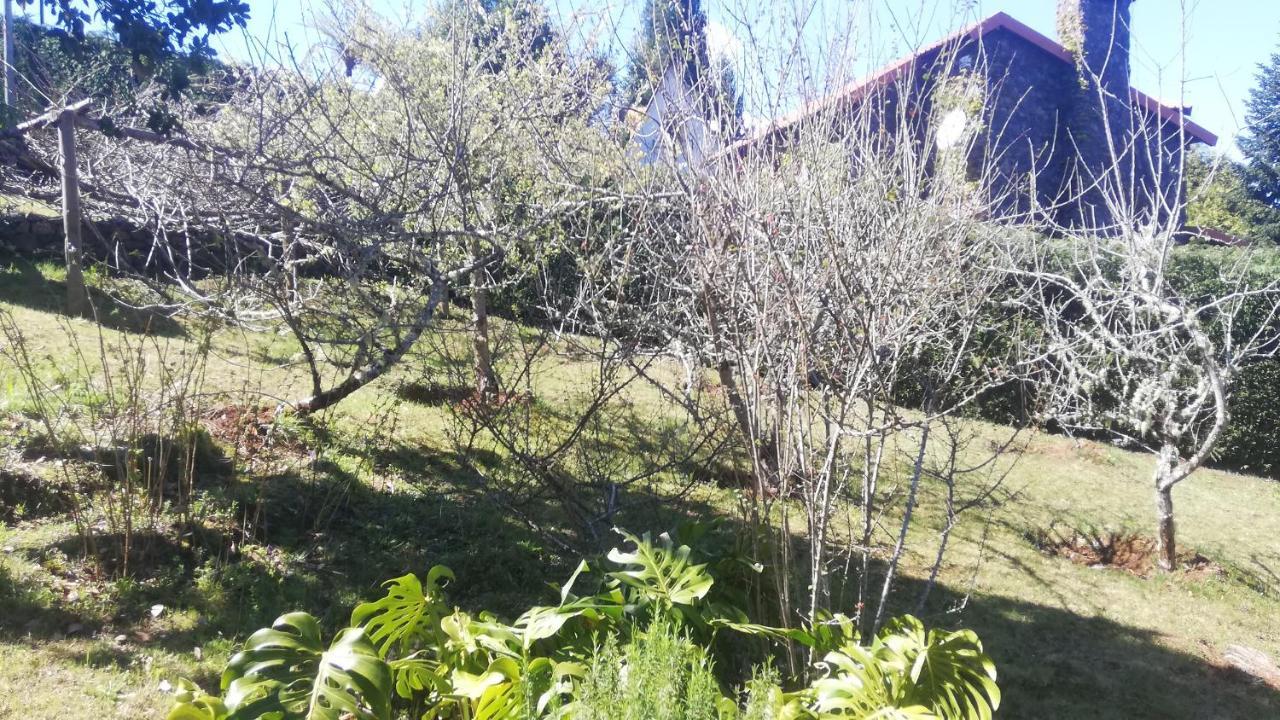 Chalet Pico Das Pedras 桑塔纳 外观 照片