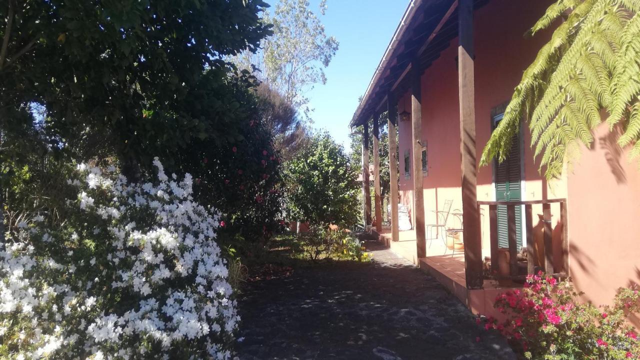 Chalet Pico Das Pedras 桑塔纳 外观 照片