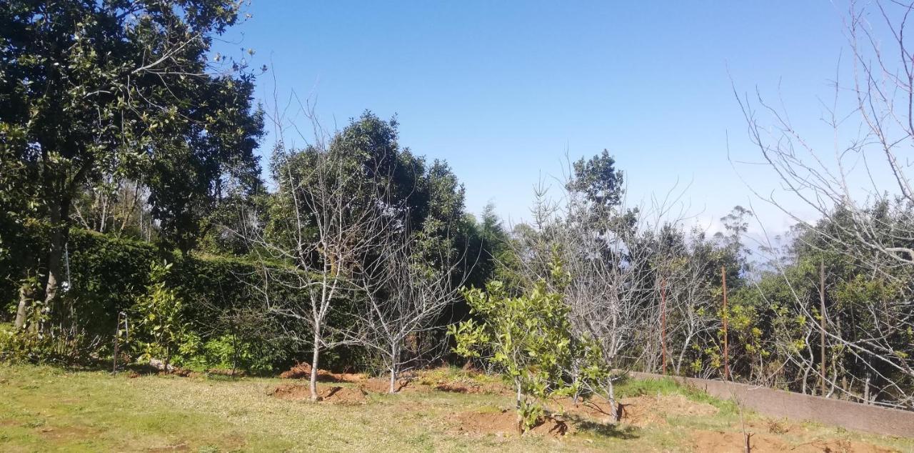 Chalet Pico Das Pedras 桑塔纳 外观 照片