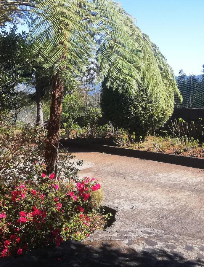 Chalet Pico Das Pedras 桑塔纳 外观 照片