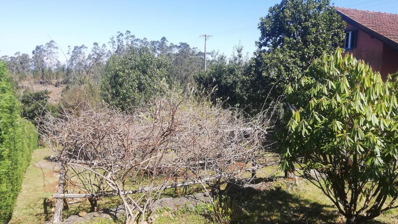 Chalet Pico Das Pedras 桑塔纳 外观 照片