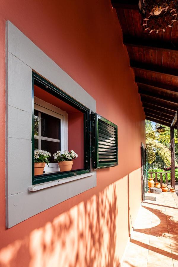 Chalet Pico Das Pedras 桑塔纳 外观 照片