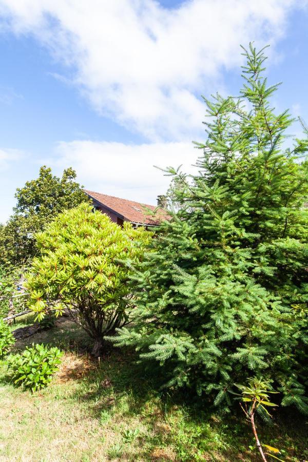 Chalet Pico Das Pedras 桑塔纳 外观 照片
