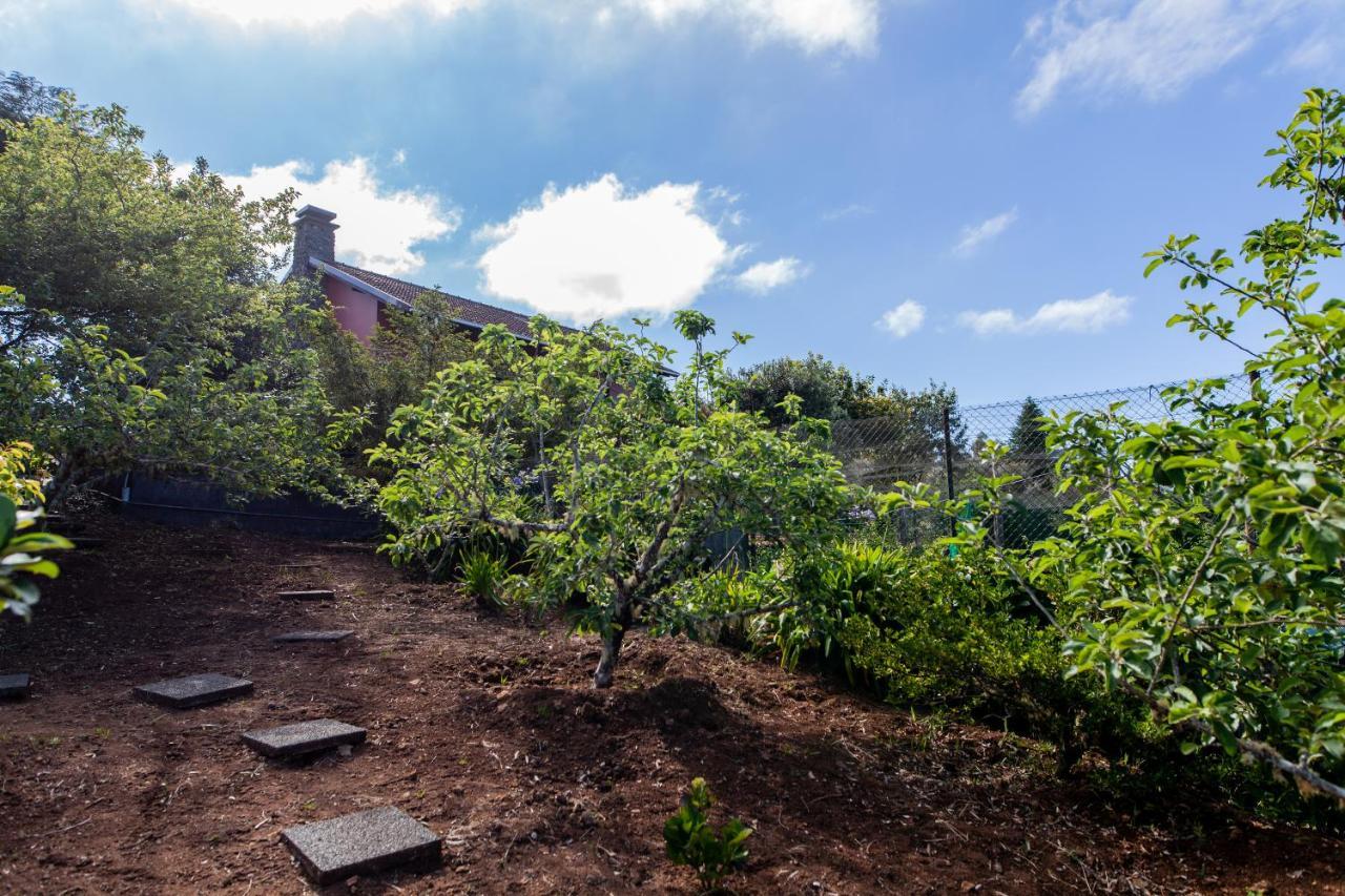 Chalet Pico Das Pedras 桑塔纳 外观 照片